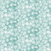 ttWINTER-CD4897 AQUA
